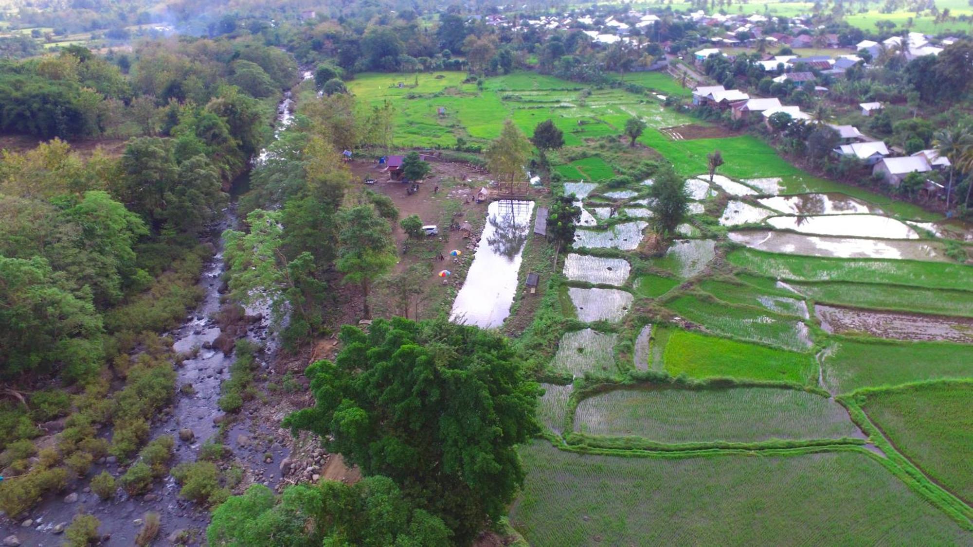 Tiu Batu Homestay Alas Exterior foto