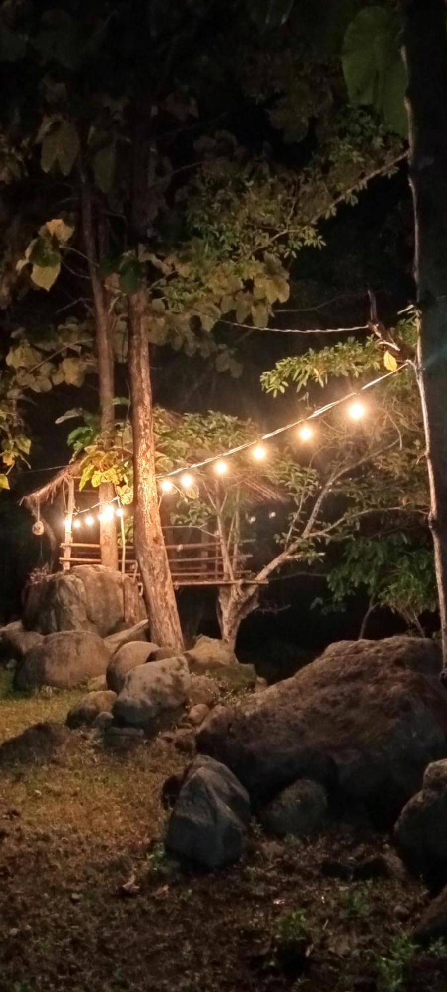 Tiu Batu Homestay Alas Exterior foto